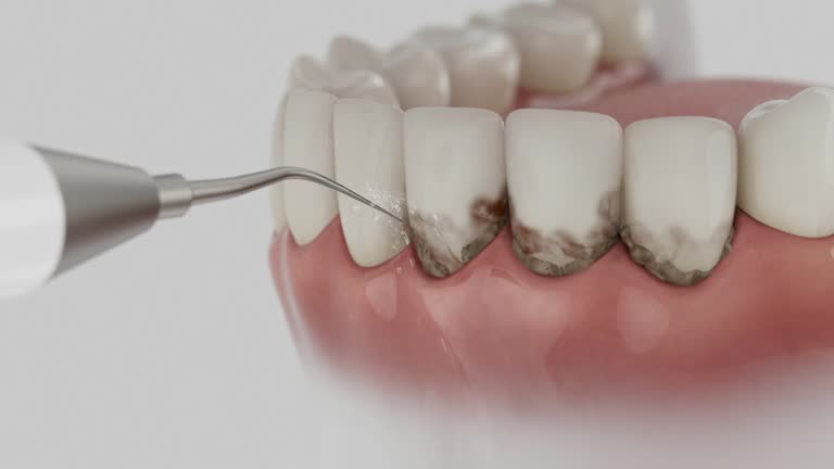 Reliable Dental contractor in Fremont Hills, MO by Dentist Open Now